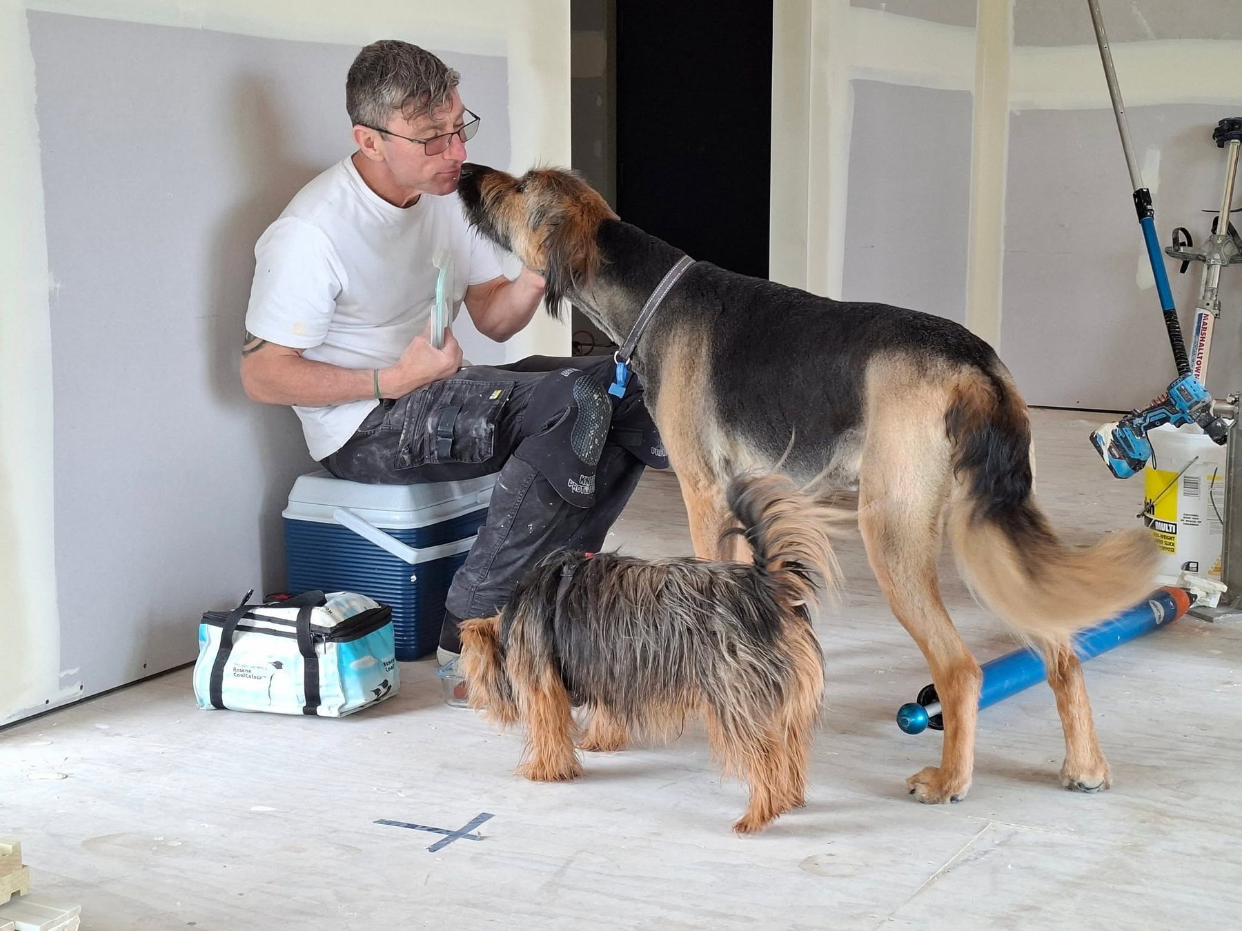 Colin Waterman on a job site with his two dogs
